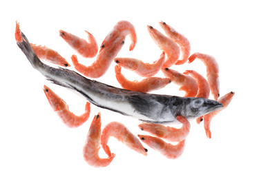 Similar image 121265