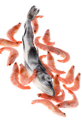 Similar image 121267