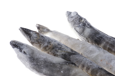 Similar image 121270