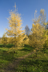 Similar image 121293