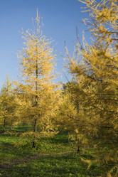 Similar image 121300