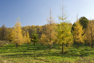 Similar image 121302