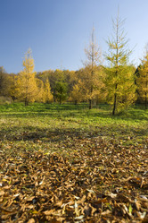 Similar image 121309