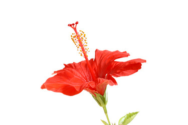 Similar image 121353