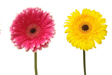 Similar image 121364