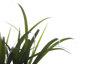 Similar image 121368