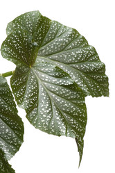 Similar image 121371