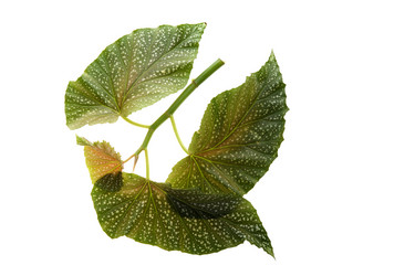 Similar image 121395