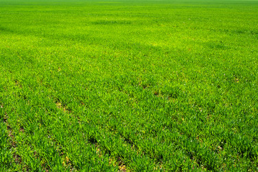 Similar image 121398