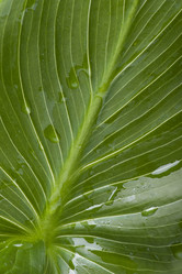 Similar image 121401