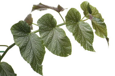 Similar image 121403