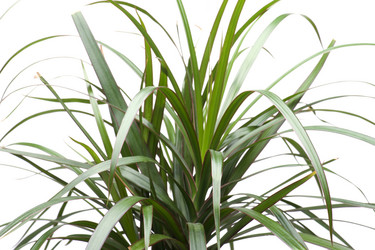 Similar image 121407