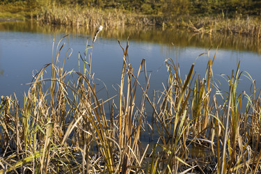 Similar image 121433