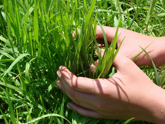 Similar image 121437