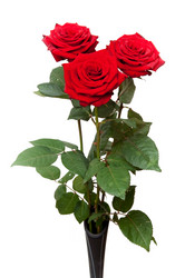 Similar image 121449