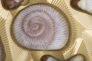 Similar image 121470