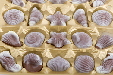 Similar image 121496