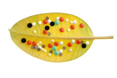 Similar image 121551