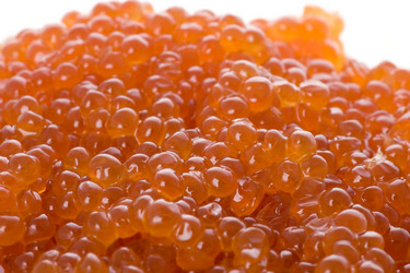 Similar image 121582