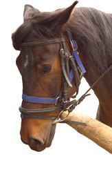 Similar image 121586