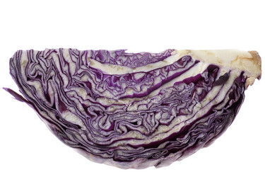 Similar image 121593