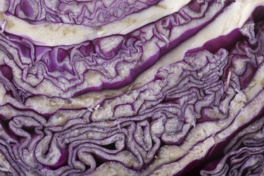 Similar image 121594