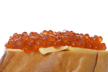 Similar image 121605