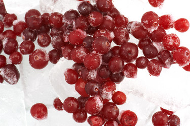 Similar image 121625