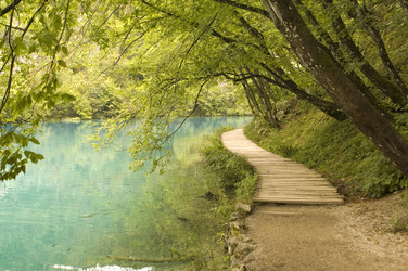 Similar image 121662