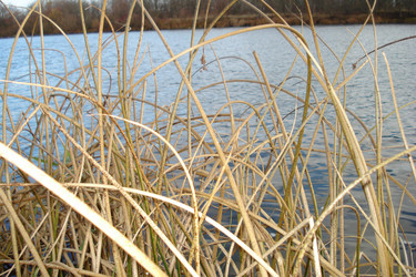 Similar image 121709