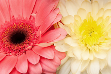 Similar image 121721