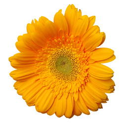 Similar image 121730