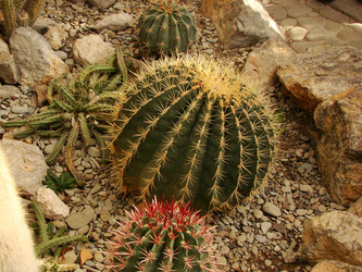 Similar image 121759