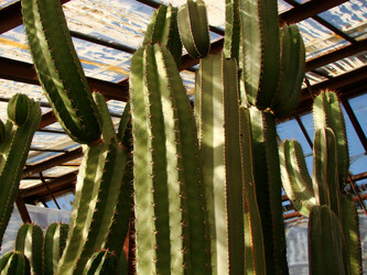 Similar image 121766