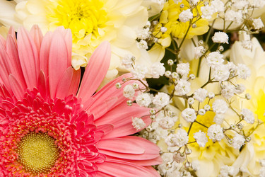 Similar image 121778