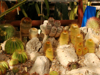 Similar image 121790