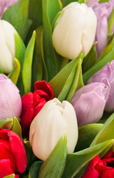 Similar image 121806