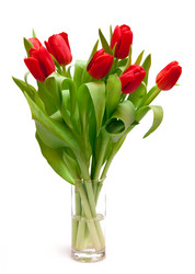 Similar image 121809