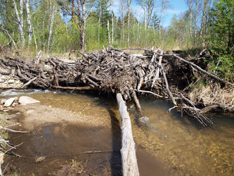 Similar image 121819