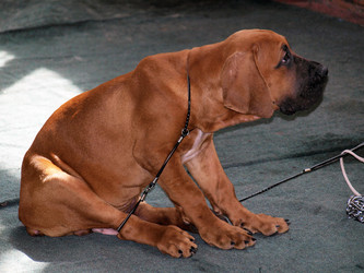 Similar image 121824