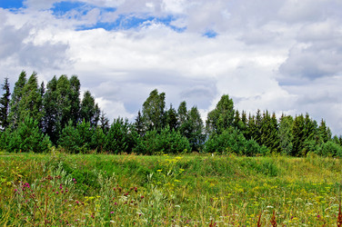 Similar image 121825