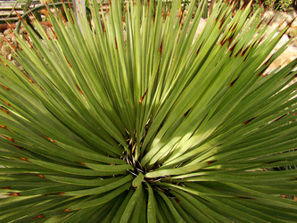 Similar image 121846