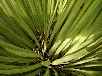 Similar image 121847