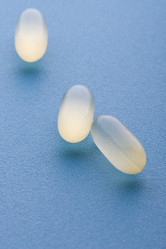 Similar image 121856