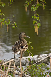 Similar image 121869