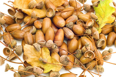 Similar image 121893