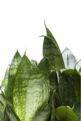 Similar image 121895