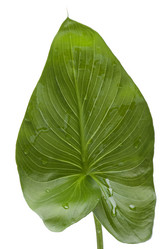 Similar image 121925