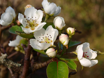 Similar image 121940