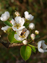 Similar image 121942